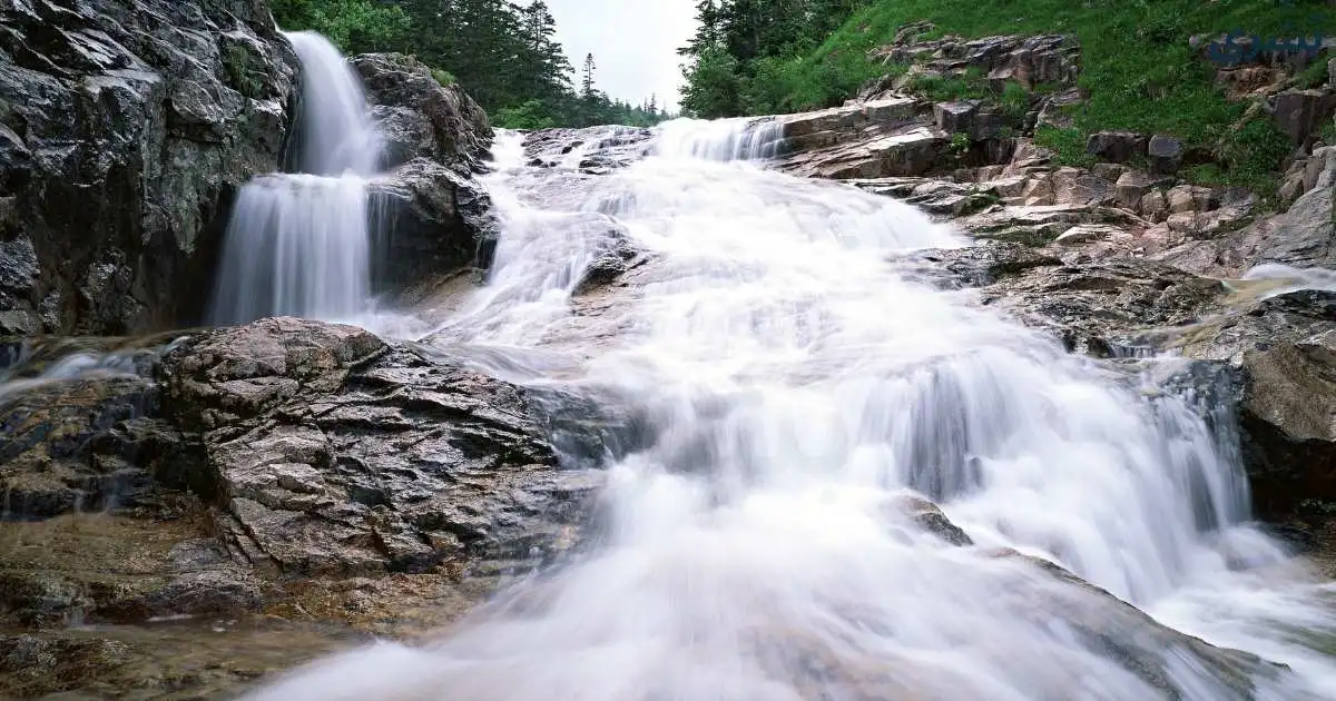 تفسير حلم السيل بدون مطر