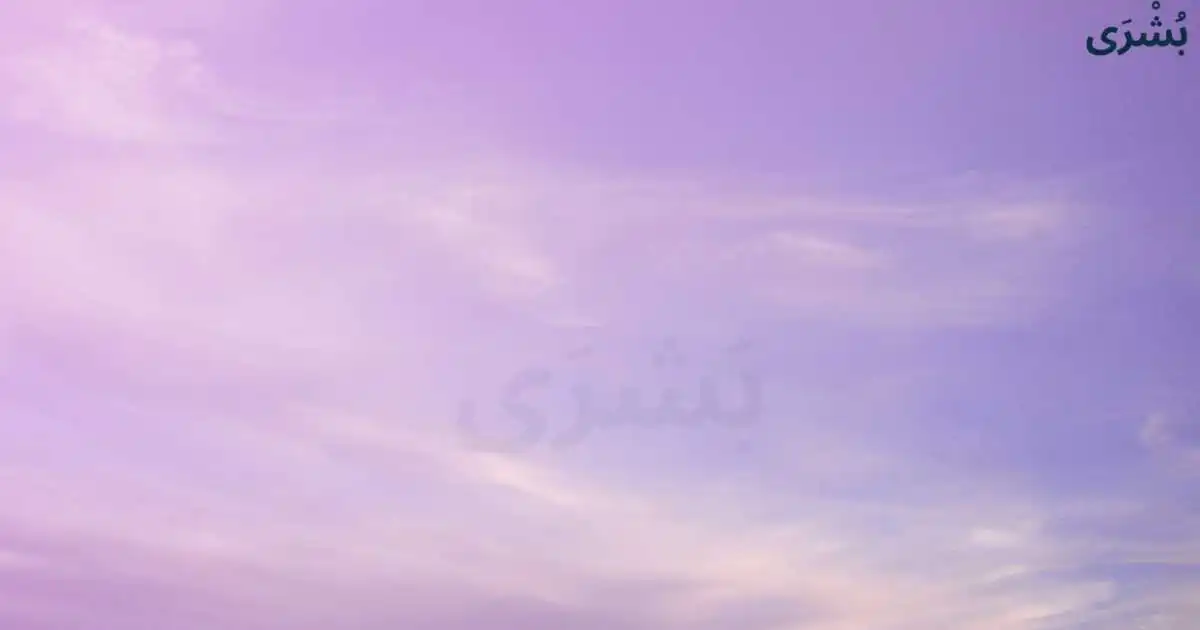 تفسير اللون البنفسجي في المنام