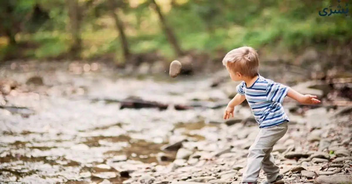 تفسير حلم شخص يرميني بالحجارة