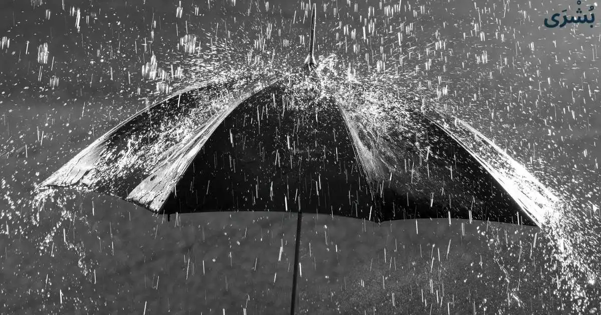 تفسير حلم المطر الغزير في الليل